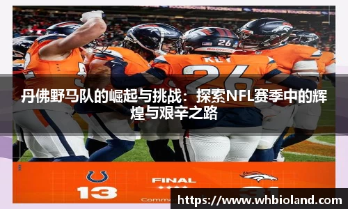 丹佛野马队的崛起与挑战：探索NFL赛季中的辉煌与艰辛之路