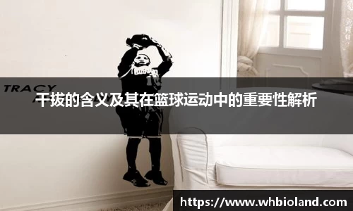 干拔的含义及其在篮球运动中的重要性解析