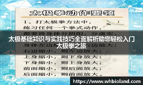 太极基础知识与实践技巧全面解析助您轻松入门太极拳之旅
