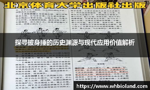 探寻披身捶的历史渊源与现代应用价值解析