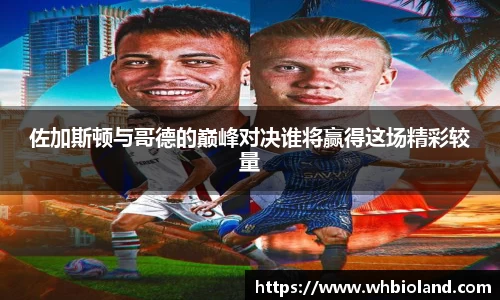 佐加斯顿与哥德的巅峰对决谁将赢得这场精彩较量
