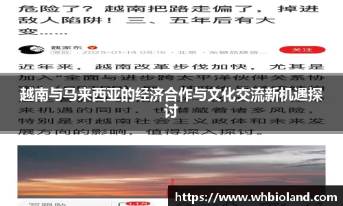 越南与马来西亚的经济合作与文化交流新机遇探讨